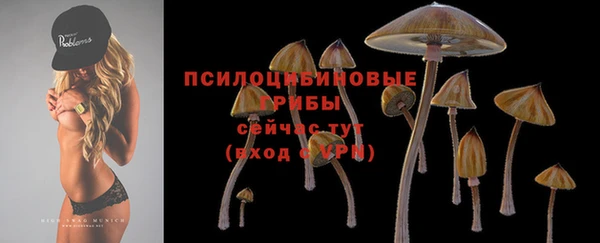 хмурый Богданович