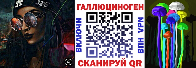 дарнет шоп  Петропавловск-Камчатский  Псилоцибиновые грибы прущие грибы 